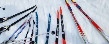 Langlauf-Tagesausfahrten - „Nordisch ist in“