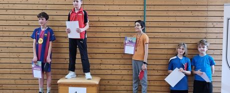 TT-Minimeisterschaften, Bezirksentscheid Stuttgart