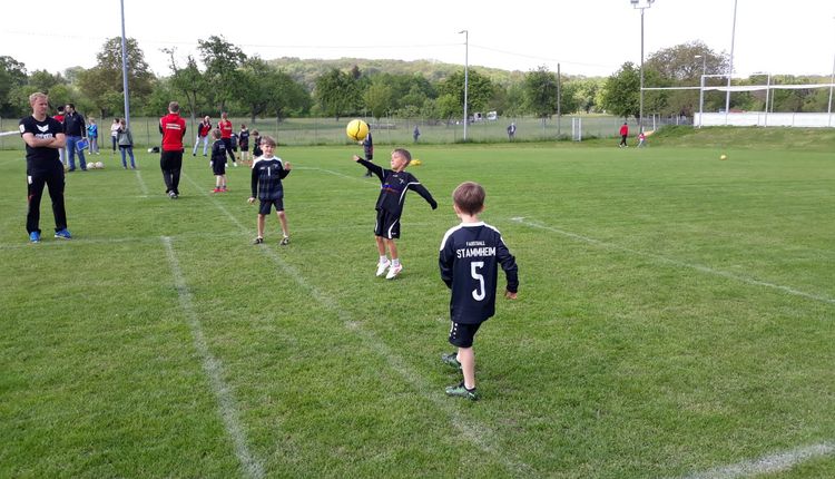 U8 mit vier Teams erfolgreich