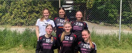 Erfolgreicher Start in den Faustball-Marathon