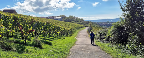 Herbstwanderung Abteilung Outdoor: Termin liegt fest