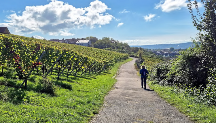 Herbstwanderung Abteilung Outdoor: Termin liegt fest