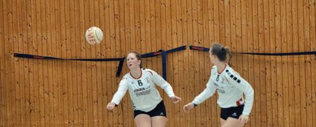 TVS-Damen ohne Punkte