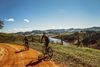 cyclists-1534907_1920.jpg